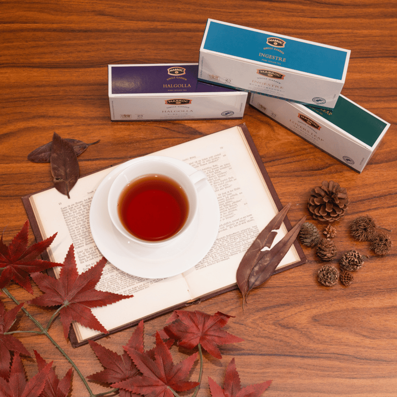 MABROC | マブロック シングルガーデンティー ラバーズリープ茶園