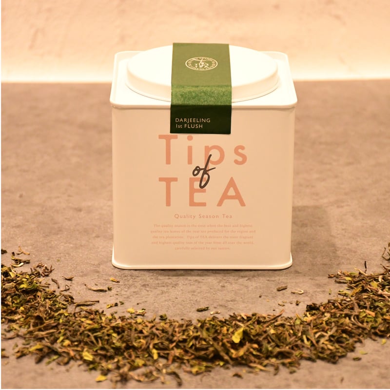 フリンジタペストリー/TPS-RAISIN2