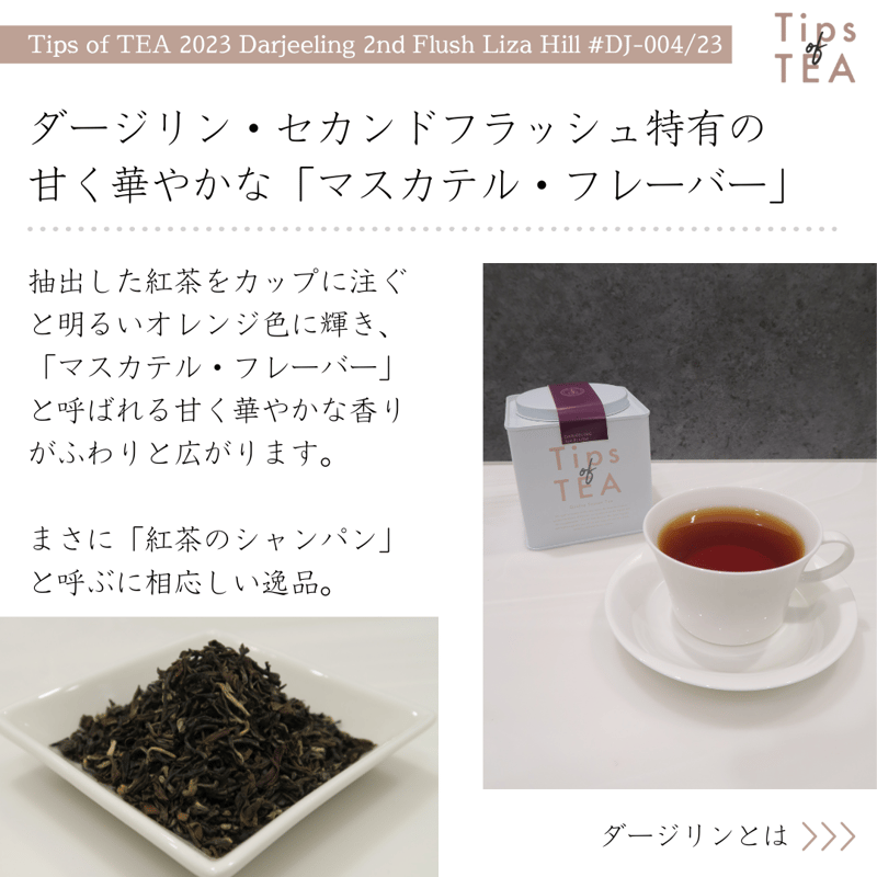 Tips of TEA クオリティーシーズンティー 2023 ダージリン Tips of TEA クオリティーシーズンティー 2023 ダージリン