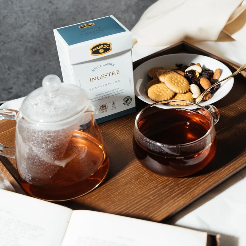 一枚の樹 中学受験-中受 問題集 算数基本 樹形図