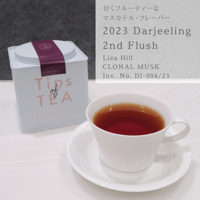 MABROC | マブロック 1001 Nights 業務用 個包装ティーバッグ50P入り |