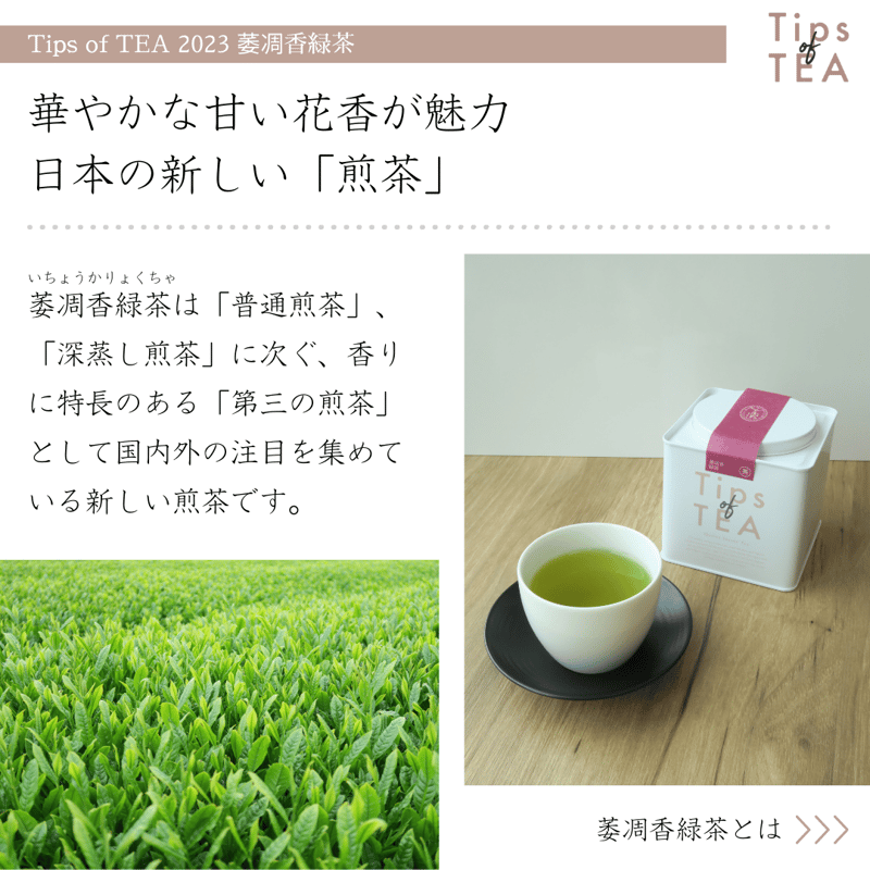 Tips of TEA クオリティーシーズンティー 2023 萎凋香緑茶 | Tips of