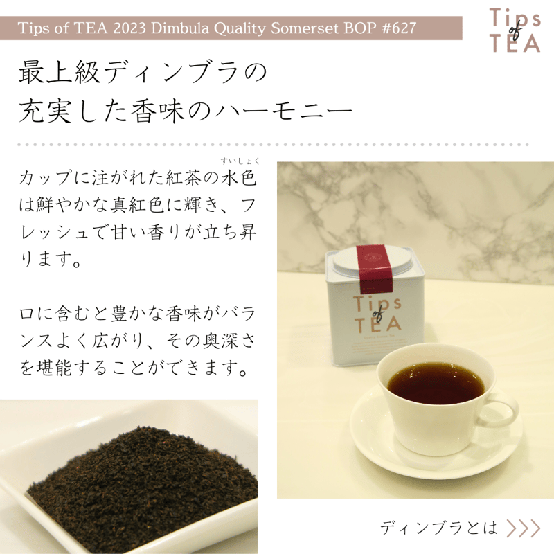 Tips of TEA クオリティーシーズンティー 2023 ディンブラ Tips of TEA クオリティーシーズンティー 2023 ディンブラ