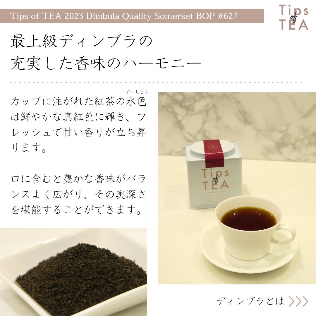 tea−cocoa様 リクエスト 9点 まとめ商品 CACAOCAT 缶 ミックス 8 個入り | DADACA（ダダカ）のプレゼント