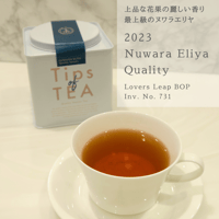 TEA＠　1001 MABROC | マブロック 1001 Nights 業務用 個包装ティーバッグ50P入り |