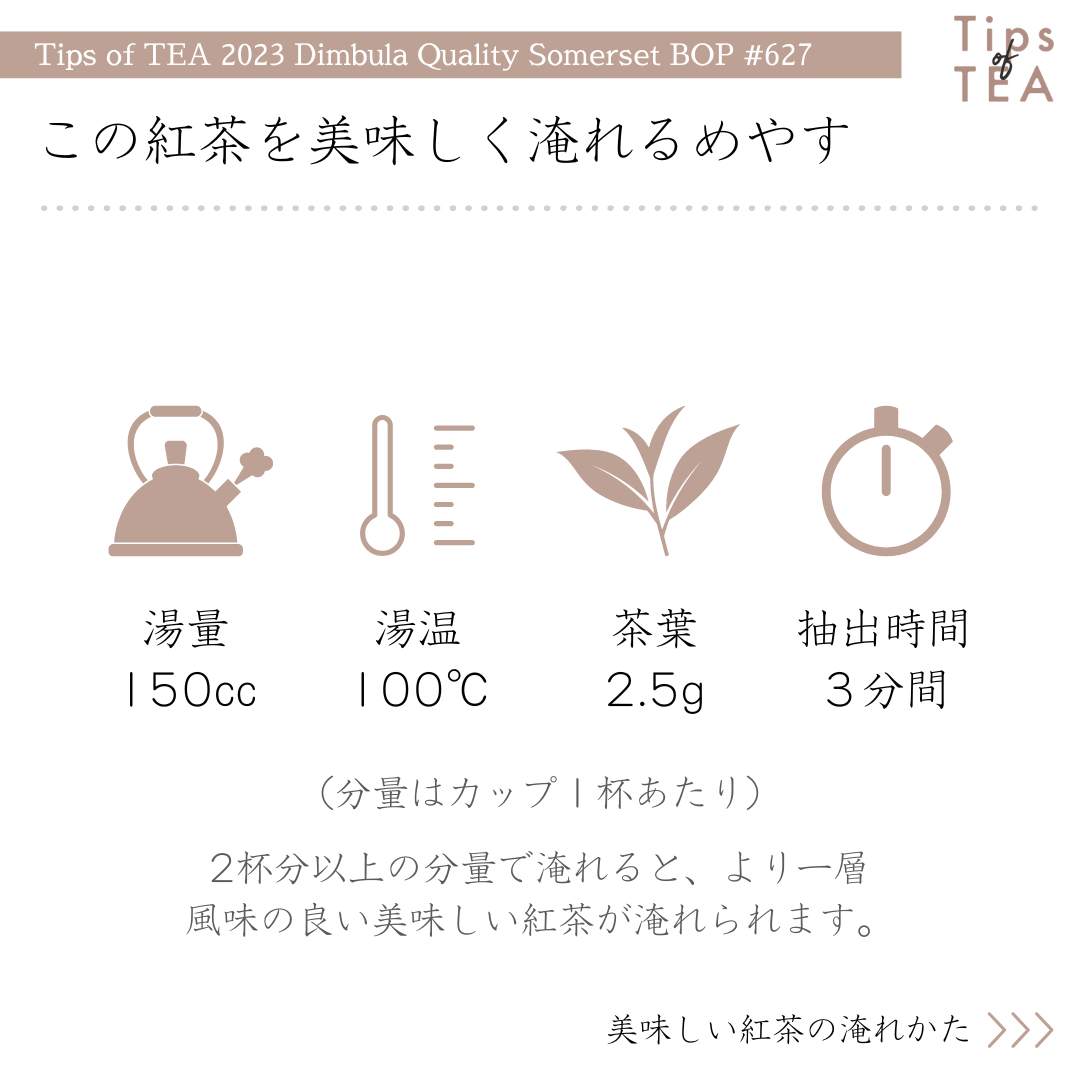 賞味期限間近のため20%OFF】 Tips of TEA クオリティーシーズン