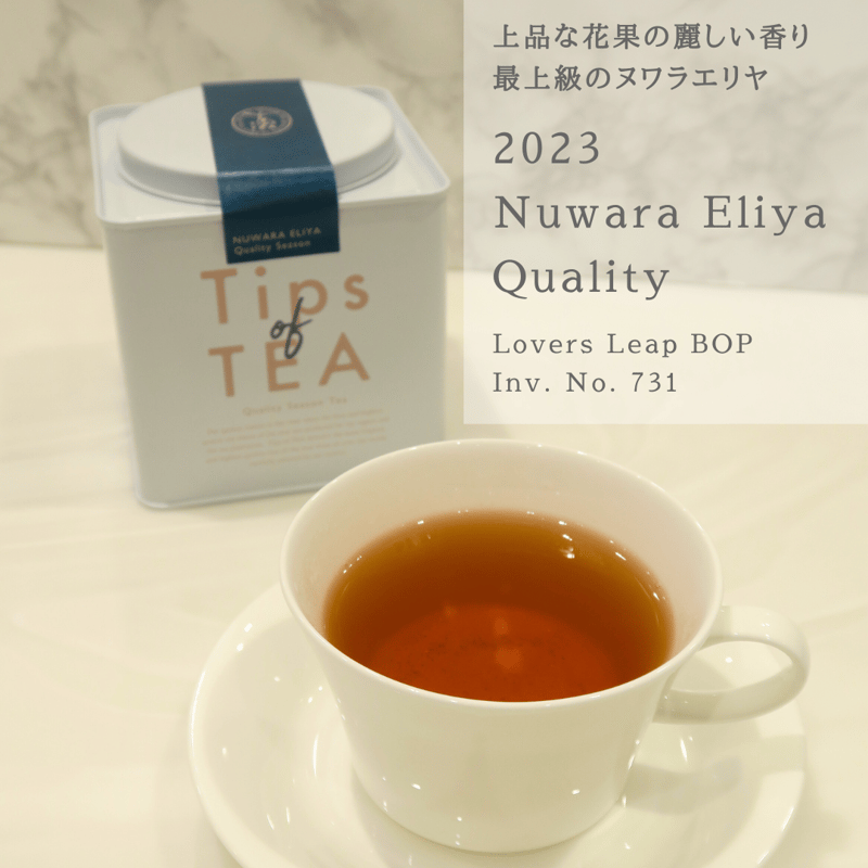 Tips of TEA クオリティーシーズンティー 2023 春摘み紅茶3品 Tips of TEA クオリティーシーズンティー 2023 春摘み紅茶3品
