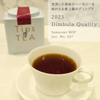 TEA＠　1001 CAT'S Factory AT-222 14-24 [AKIRA TAKASAKI x CAT'S FACTORY