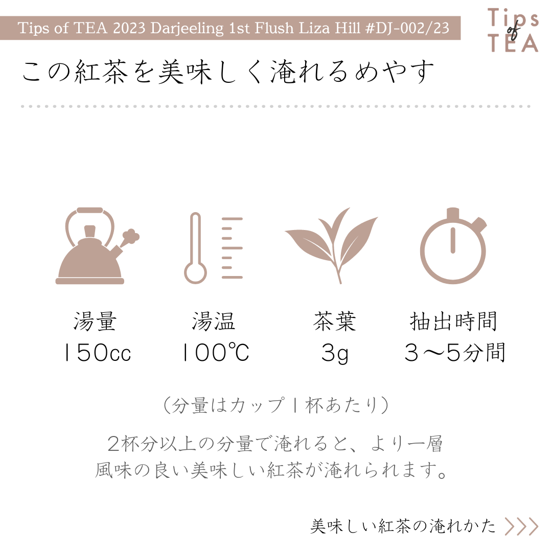 NOVEMBER RAIN-THE FIRST 新品未使用 送料無料 2025年最新】Yahoo!オークション -november rainの中古品・新品