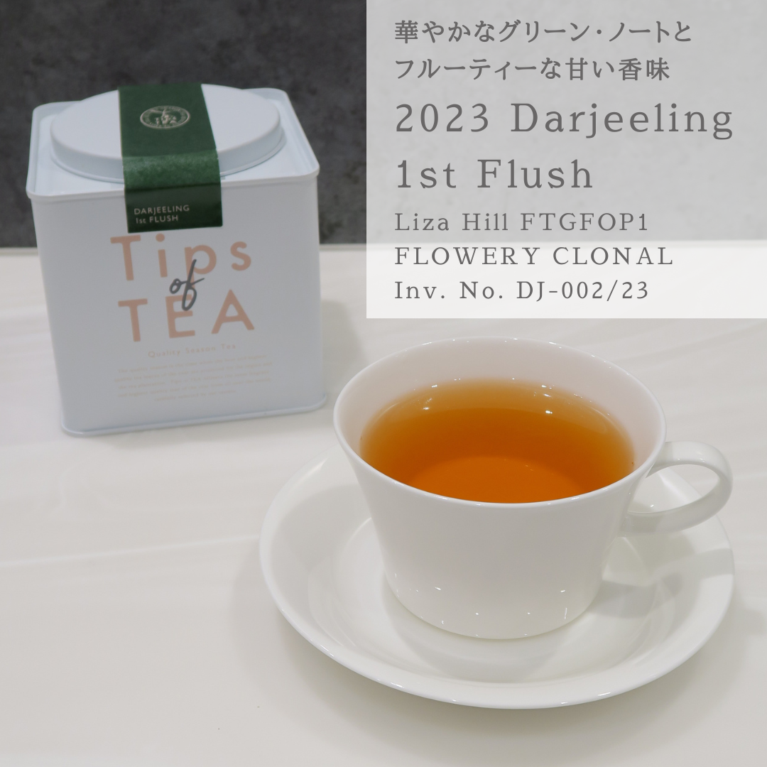 Tips of TEA クオリティーシーズンティー 2023 ダージリン