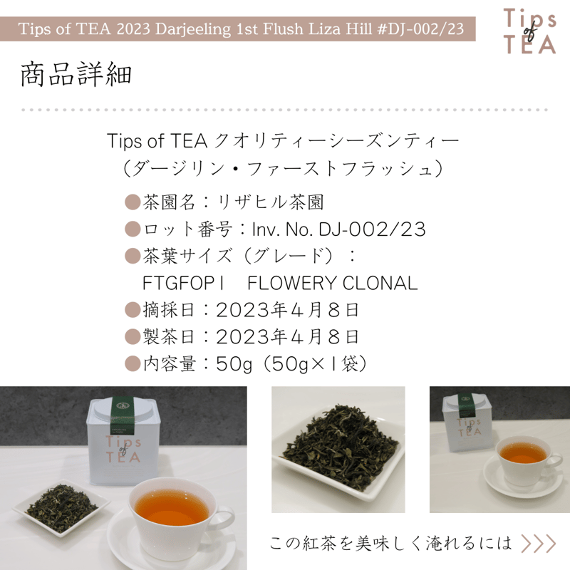 Tips of TEA クオリティーシーズンティー 2023 ダージリン
