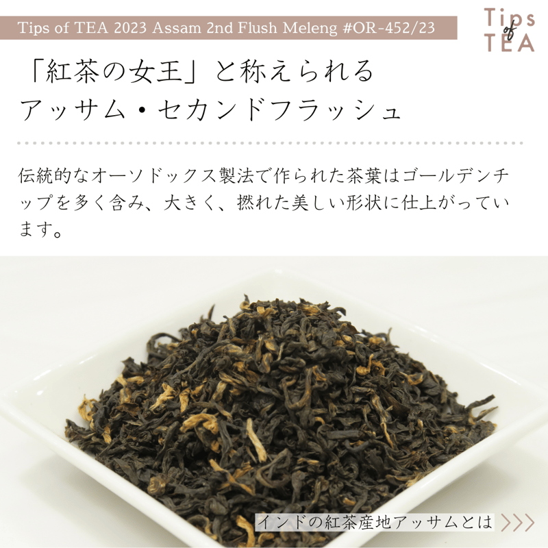 Tips of TEA クオリティーシーズンティー 2023 アッサム Tips of TEA クオリティーシーズンティー 2023 アッサム