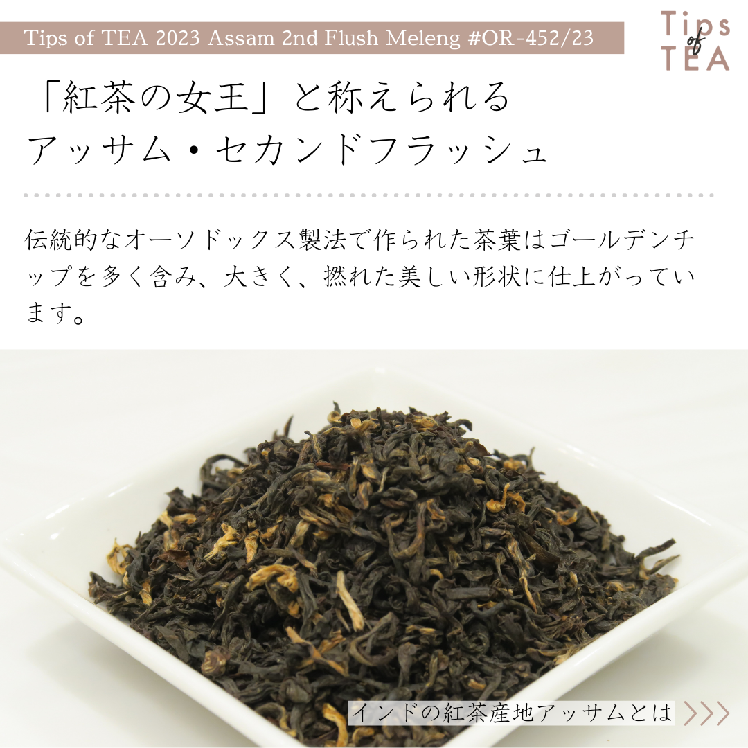 Tips of TEA クオリティーシーズンティー 2023 アッサム
