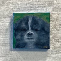ミニキャンバス油彩《秋田犬(虎)の赤ちゃん》
