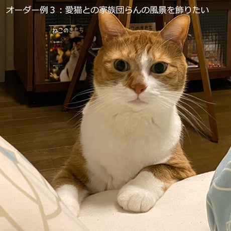 《世界でひとつ・特別な贈り物》オーダーメイド・イラスト