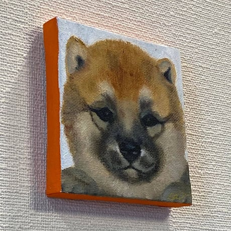 ミニキャンバス油彩《柴犬の赤ちゃん》