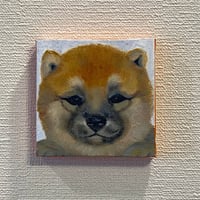 ミニキャンバス油彩《柴犬の赤ちゃん》