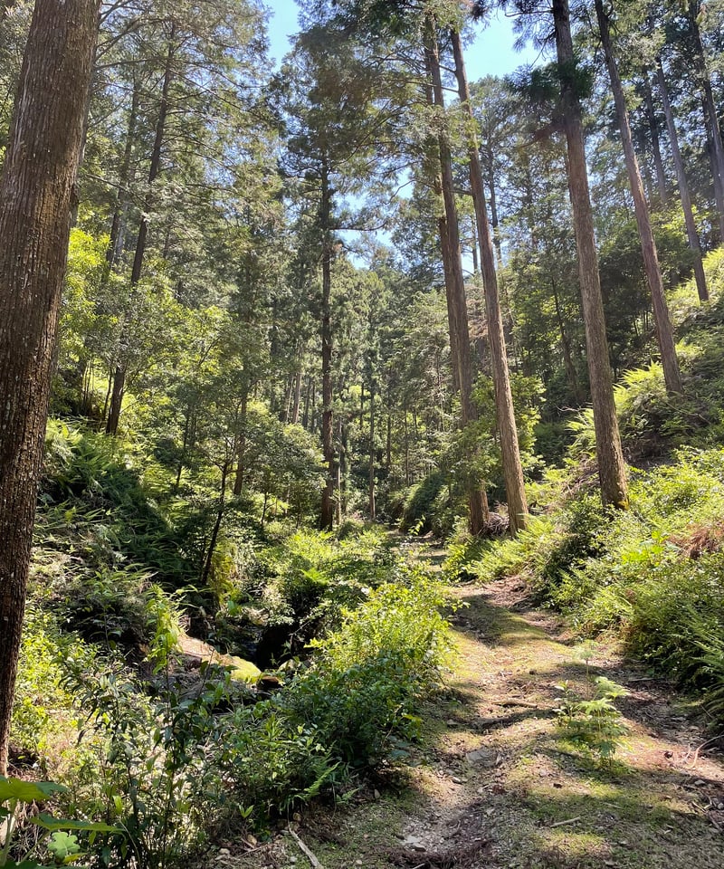 尾鷲ヒノキのベンチスツール | BROOK online store