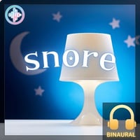 snore2201：男性のいびき