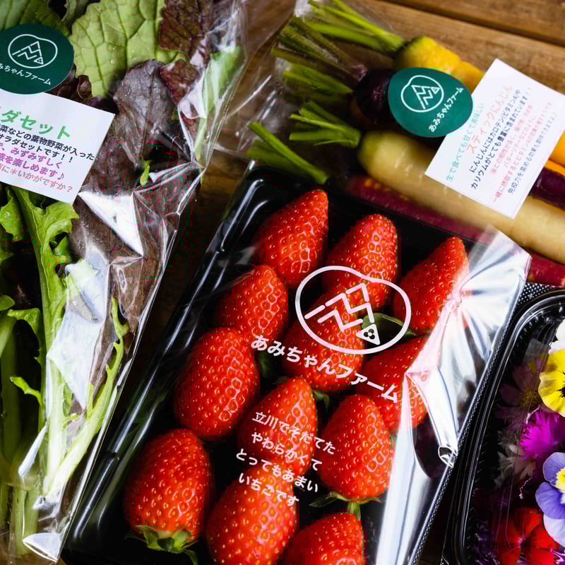 専用】いちご様♡あみぐるみ キーホルダー さ*☆様 いちごさんの編み