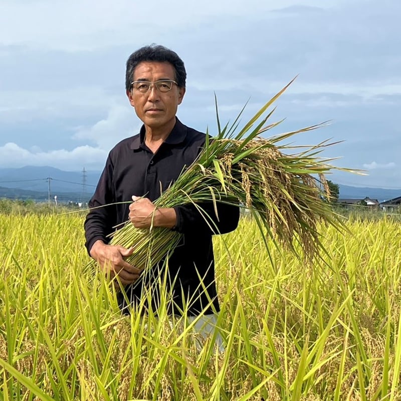 ◇新米になりました 20kg◇令和7年新米 みやの穂（富山県産コシヒカリ