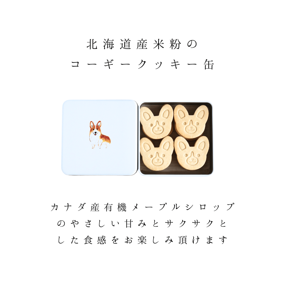 65869c20d587421efe8a6689