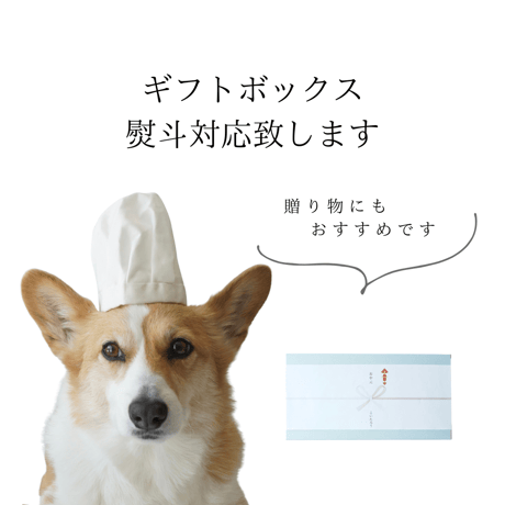 ギフトボックス　米粉のコーギークッキー＆紅茶ティーバッグ