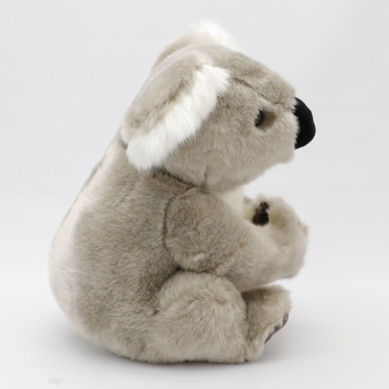 コアラ／ぬいぐるみ | -ZOOBO GATE- 東山動植物園 オフィシャル園内