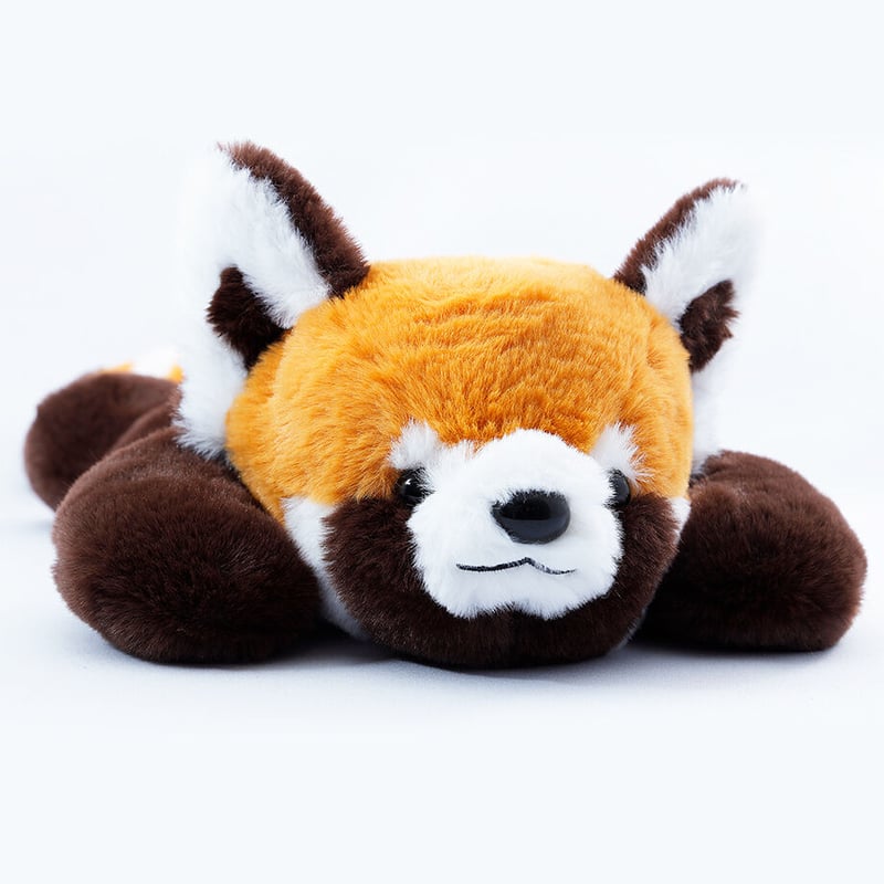 レッサーパンダぬいぐるみ ぬいぐるみ レッサーパンダ 8