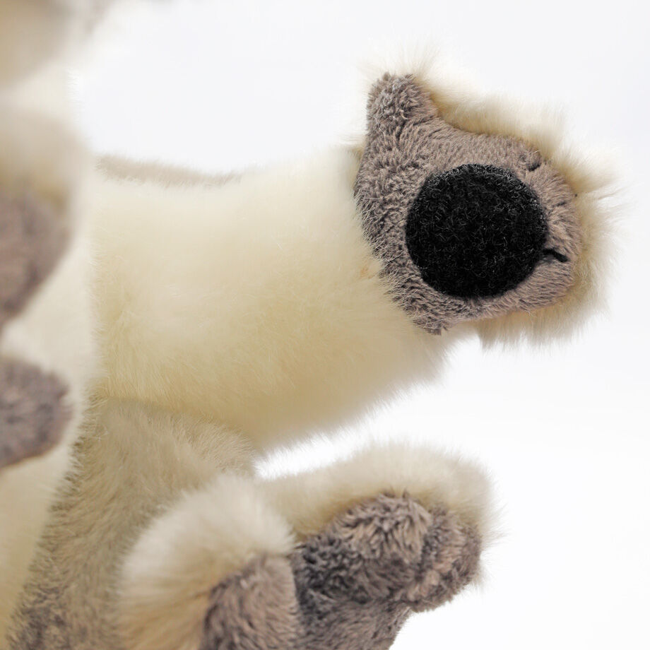 台湾コアラぬいぐるみ 台湾コアラぬいぐるみ 71Isu+G2i1L._AC_UF350,