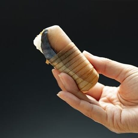 【杉木箱入り】杉鮓 sugizushi 7切　※プレーン・タイプ