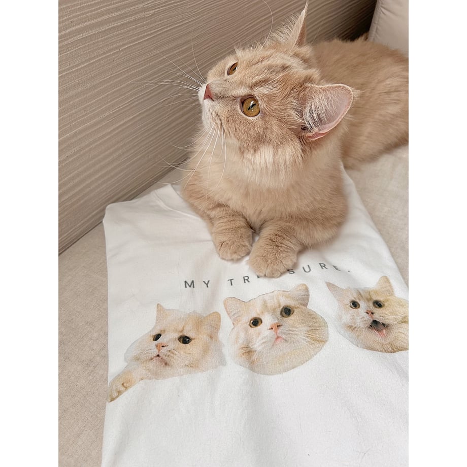 6708d3f74961f5075a788fcc