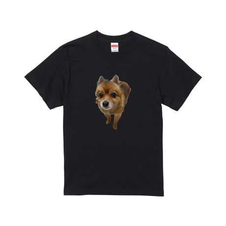 EW×KISAKI/T-shirt