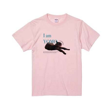 EW×IO/T-shirt①
