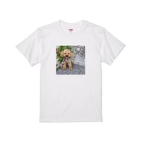 EW×かな/T-shirt
