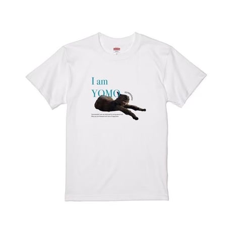 EW×IO/T-shirt①