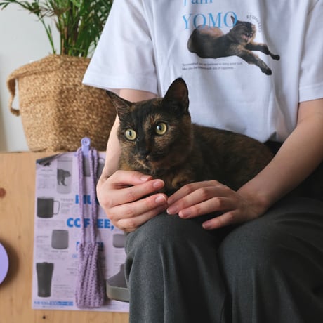 EW×IO/T-shirt①