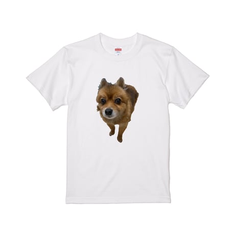 EW×KISAKI/T-shirt