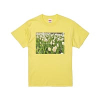 EW×yuri/T-shirt