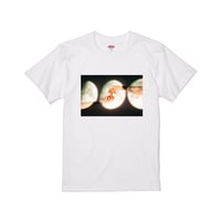 EW×Mikan/T-shirt②