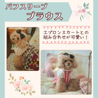 パフスリーブ ブラウス