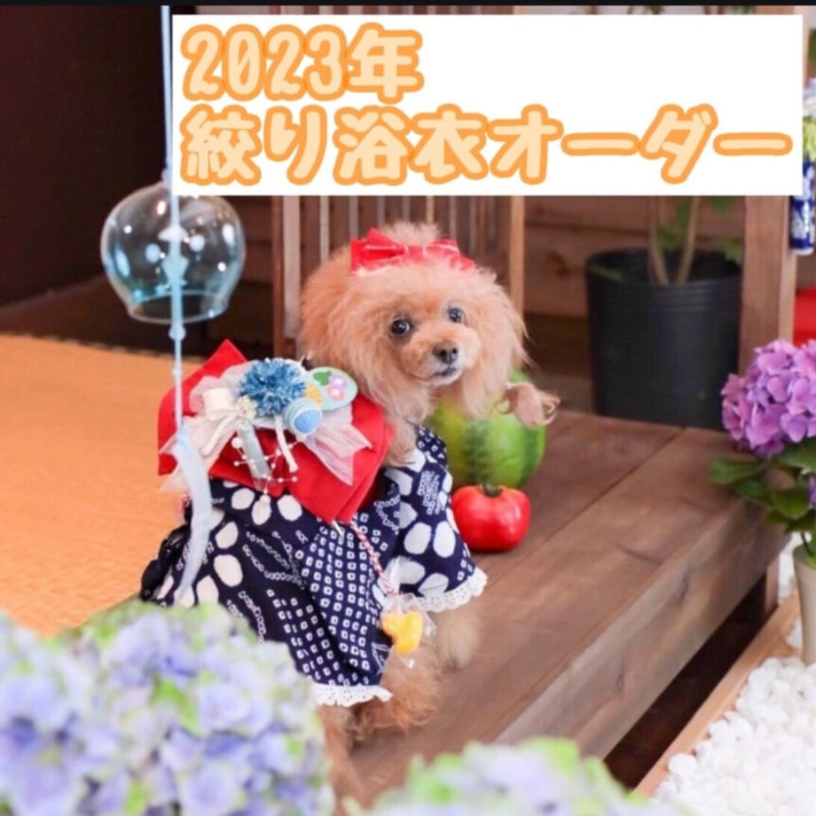 6444f941db24c400c2cd2fa9