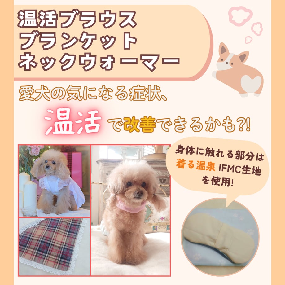 67a95601ad6dc121d29bf780