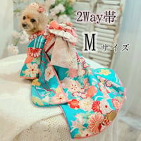 2way 帯 Mサイズ