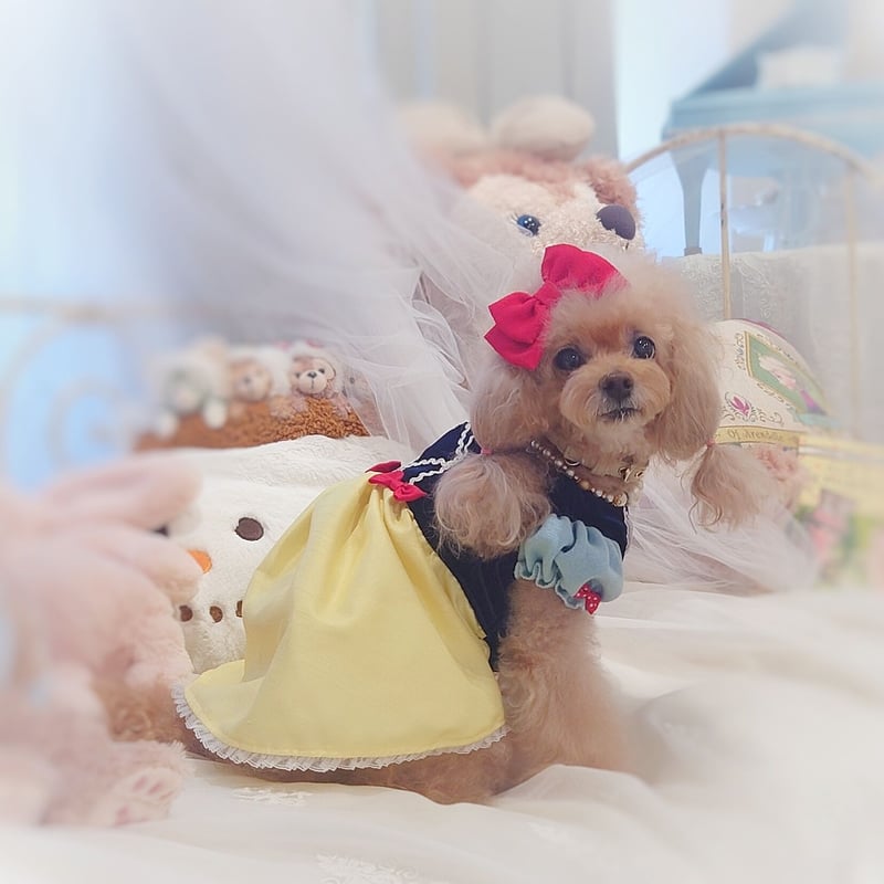 お姫様ワンピース サイズオーダー | Cotton pearl