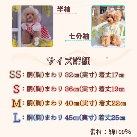 パフスリーブ ブラウス