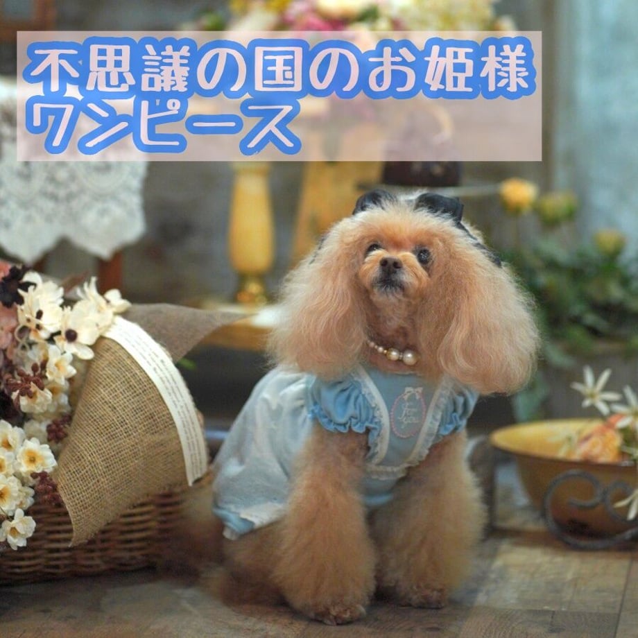 64e9e37a845a63003a6a1805