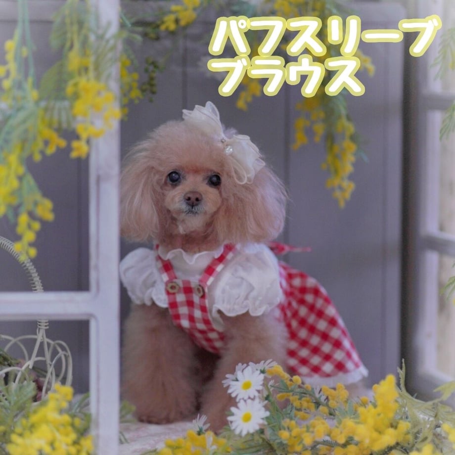 6233eda74773a33e3bf26e4e