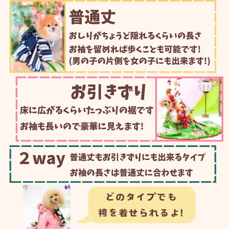 2026年 お着物オーダー
