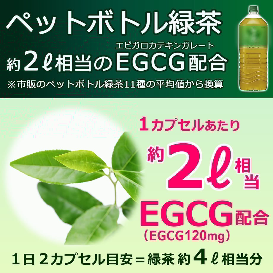 5f79d48507e1636fd131299a